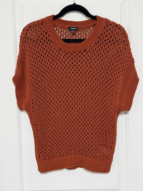 Express Sweaters - NWOT Express Open-Knit Short Sleeve Sweater in Rust